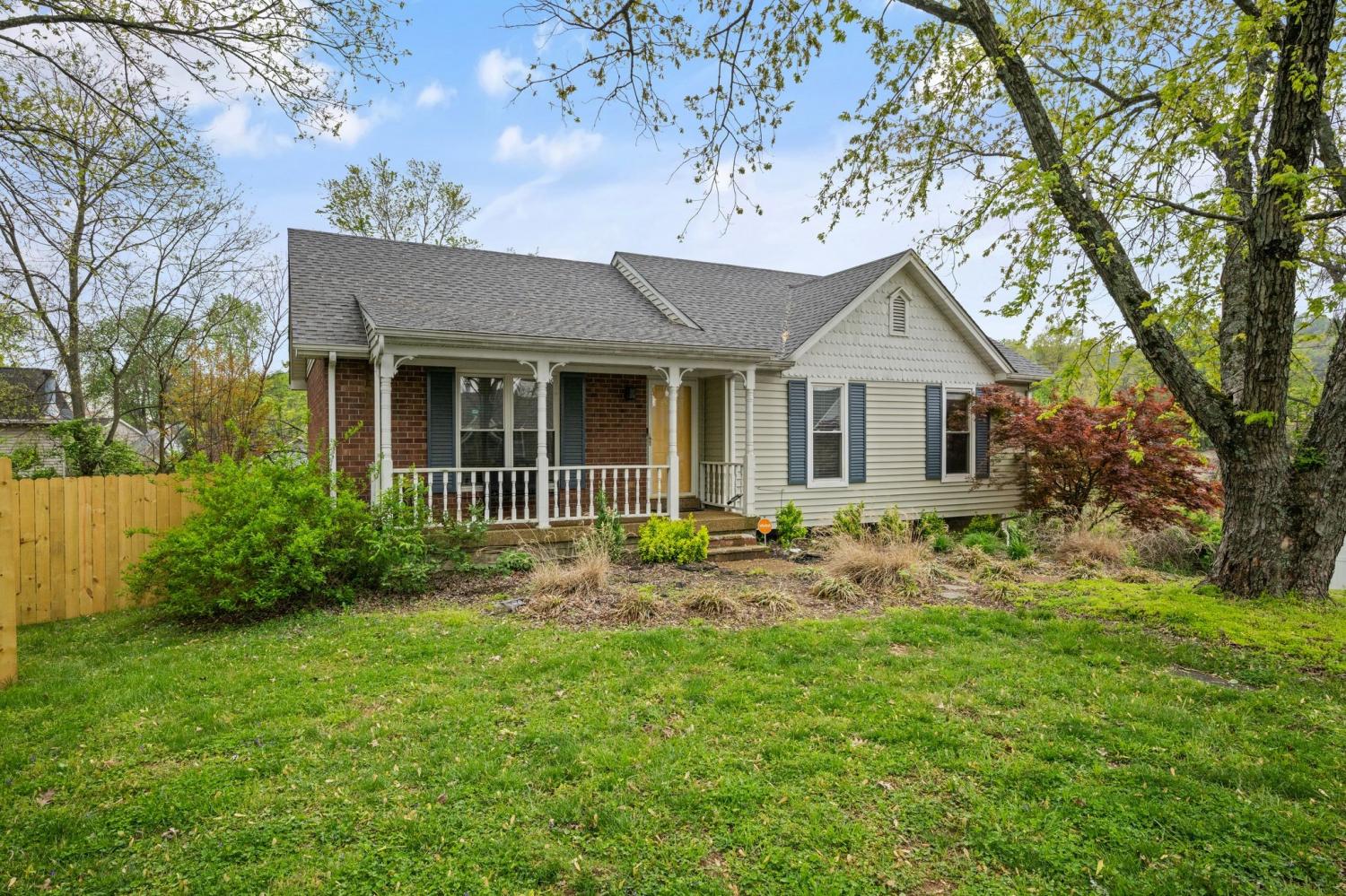 1509-Pointer-Ct For Sale