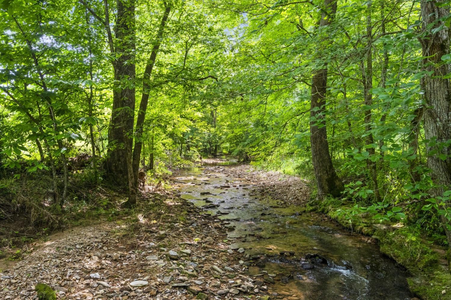 3828-Martins-Chapel-Rd For Sale