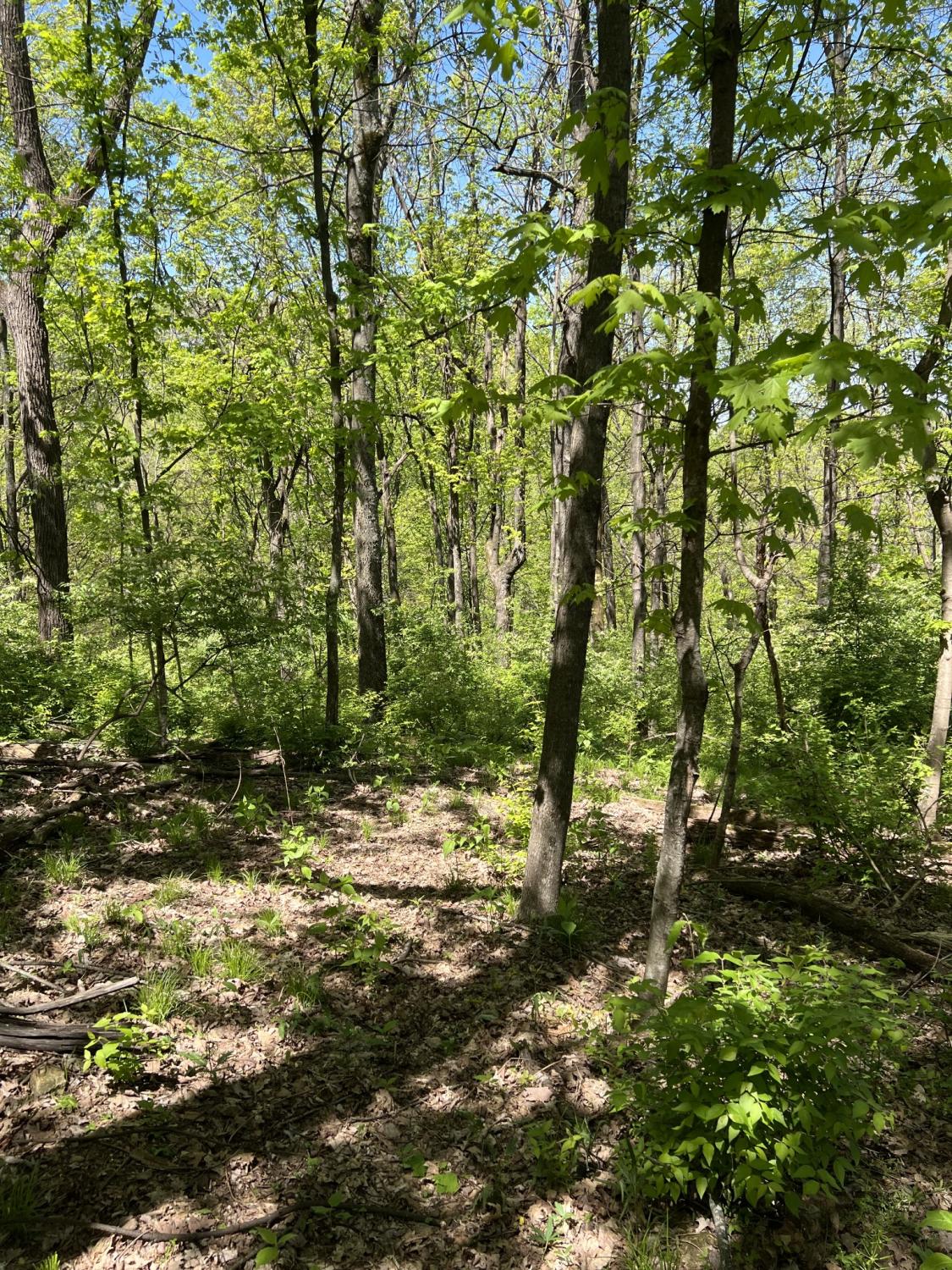 1305-Robert-E-Lee-Ln For Sale