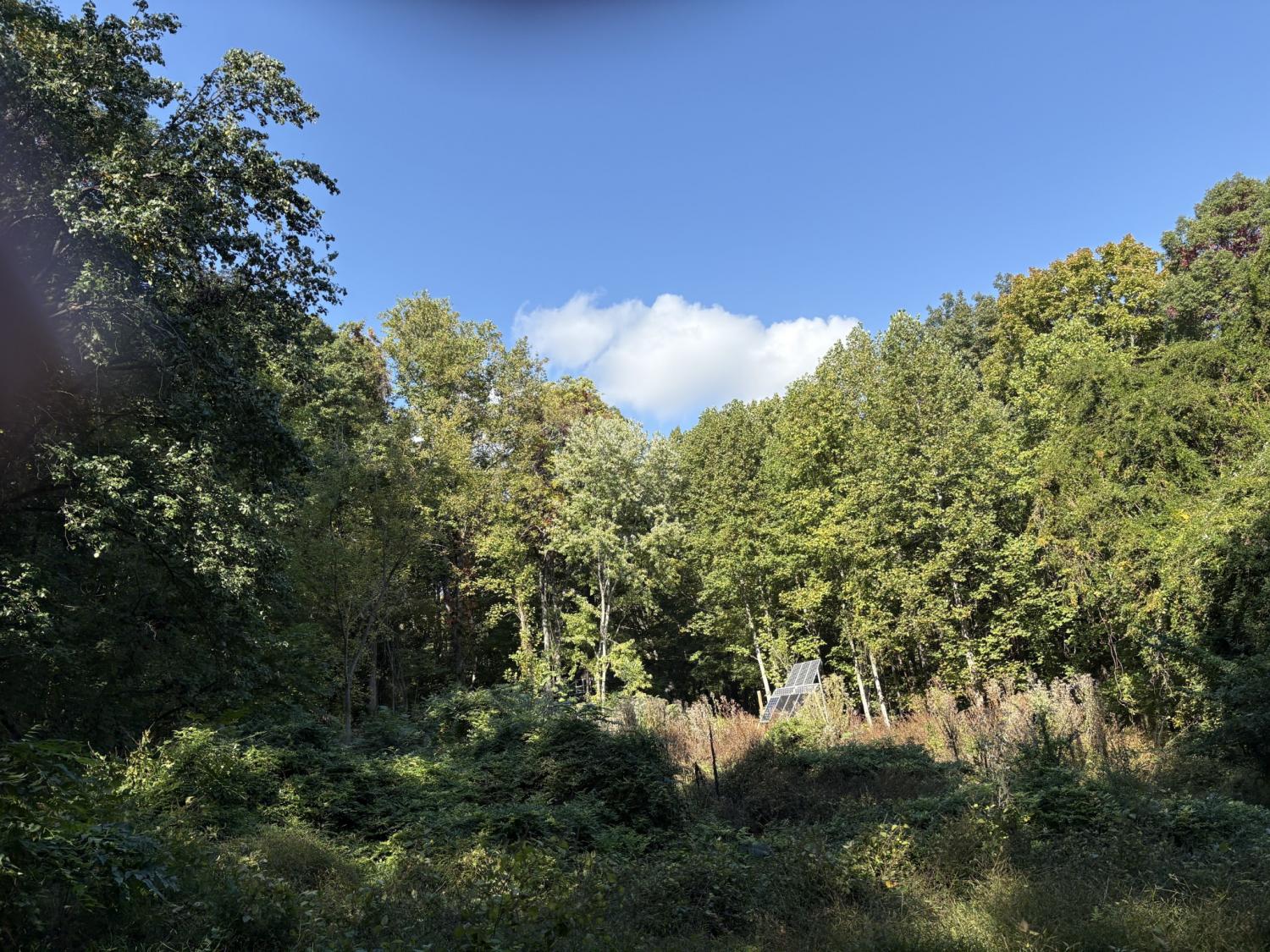 1431-Roarks-Cove-Rd For Sale