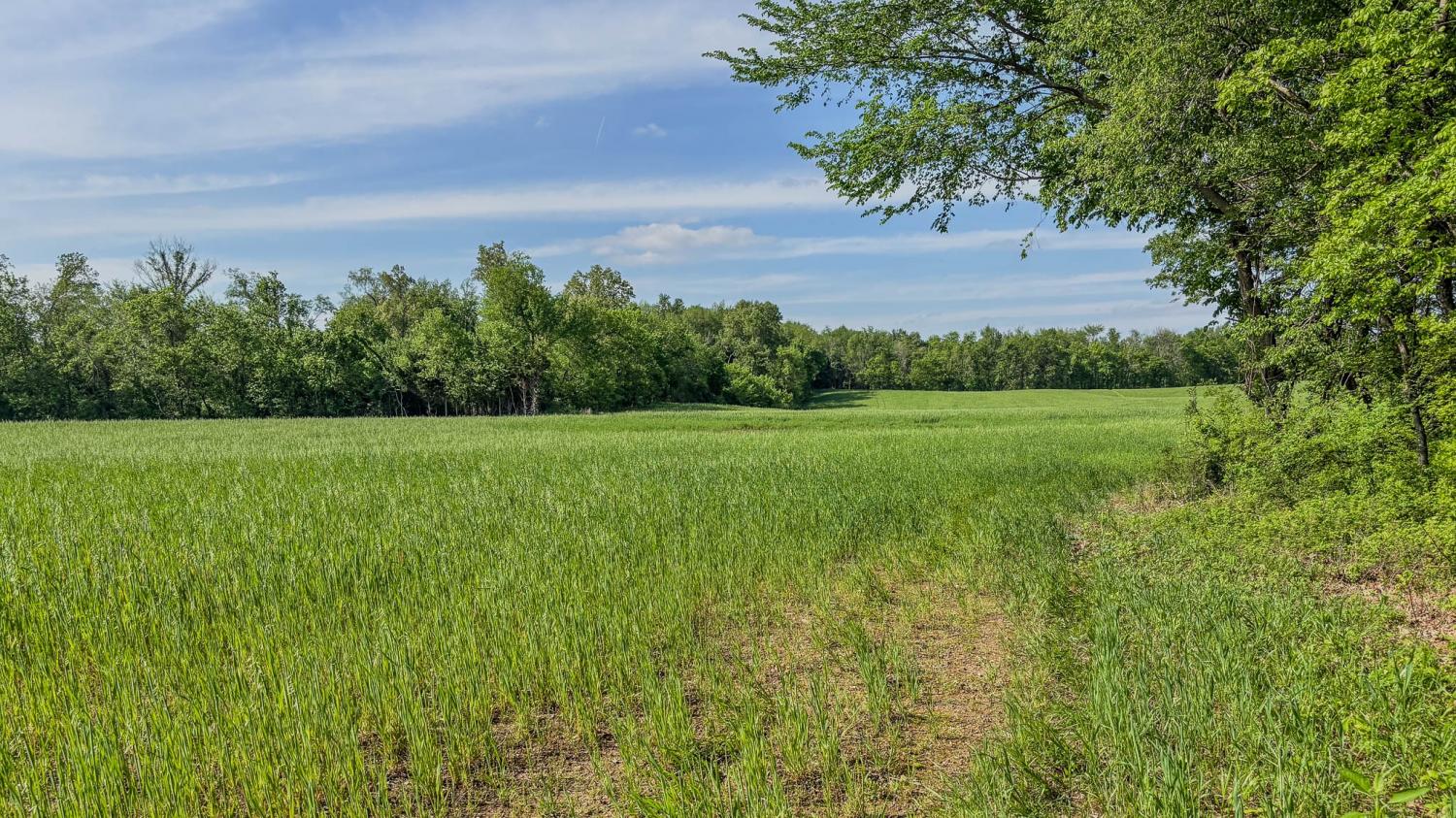 0-Sturgeon-Creek-Road For Sale