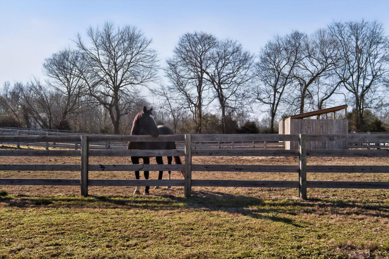 441-Matts-Hollow-Rd For Sale