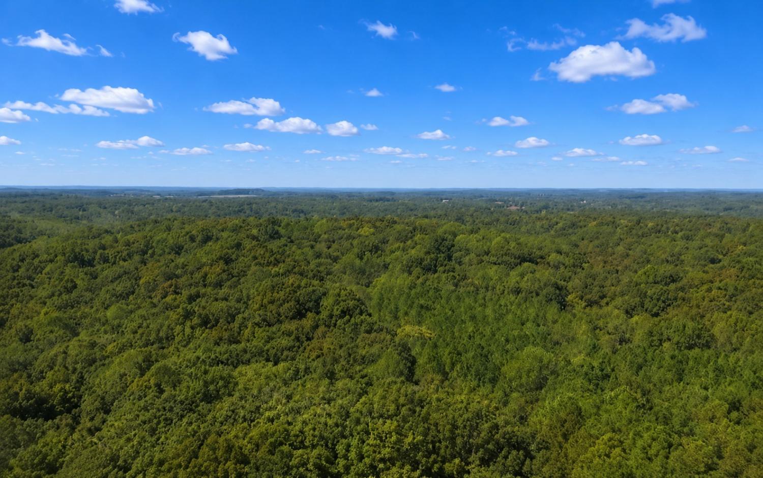 138-Vaughn-Rd For Sale