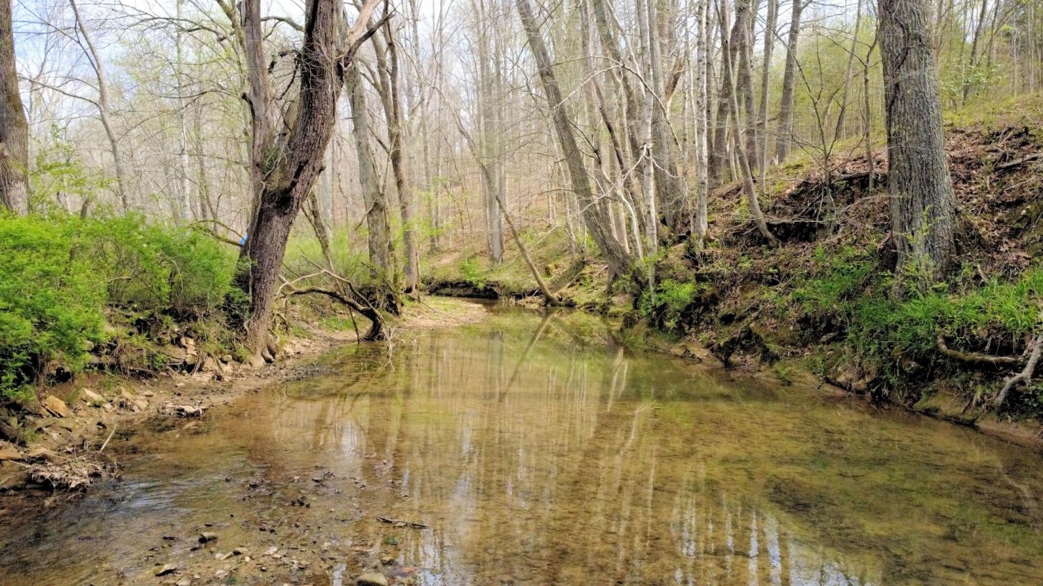 293-E-Piney-Rd For Sale