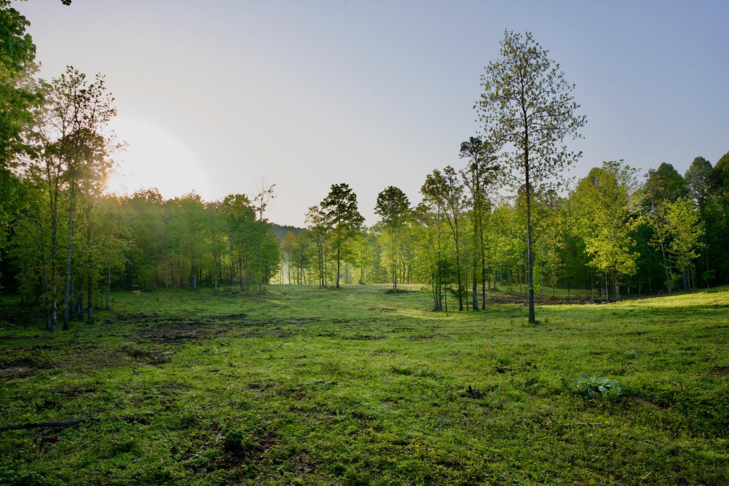 40A-Barker-Cove-Loop For Sale