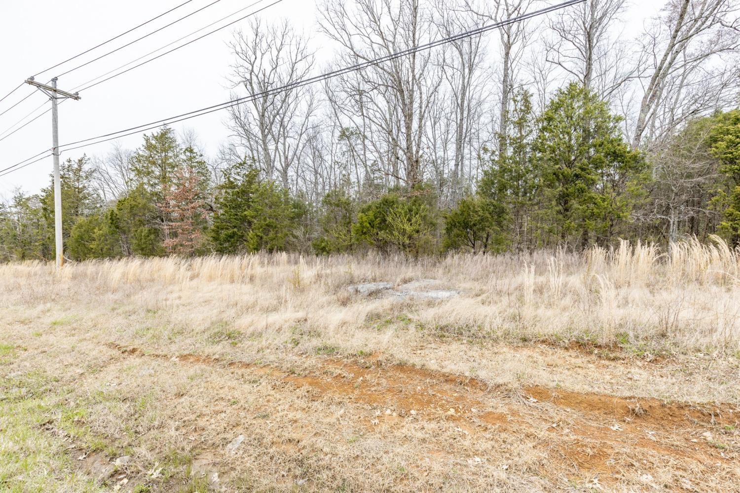 0 Owl Hollow Rd TN 37174 For Sale - 28