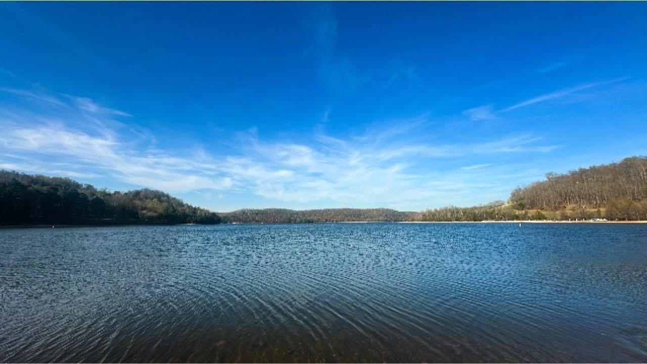 96 Sarvis Ridge Rd TN 37360 For Sale - 