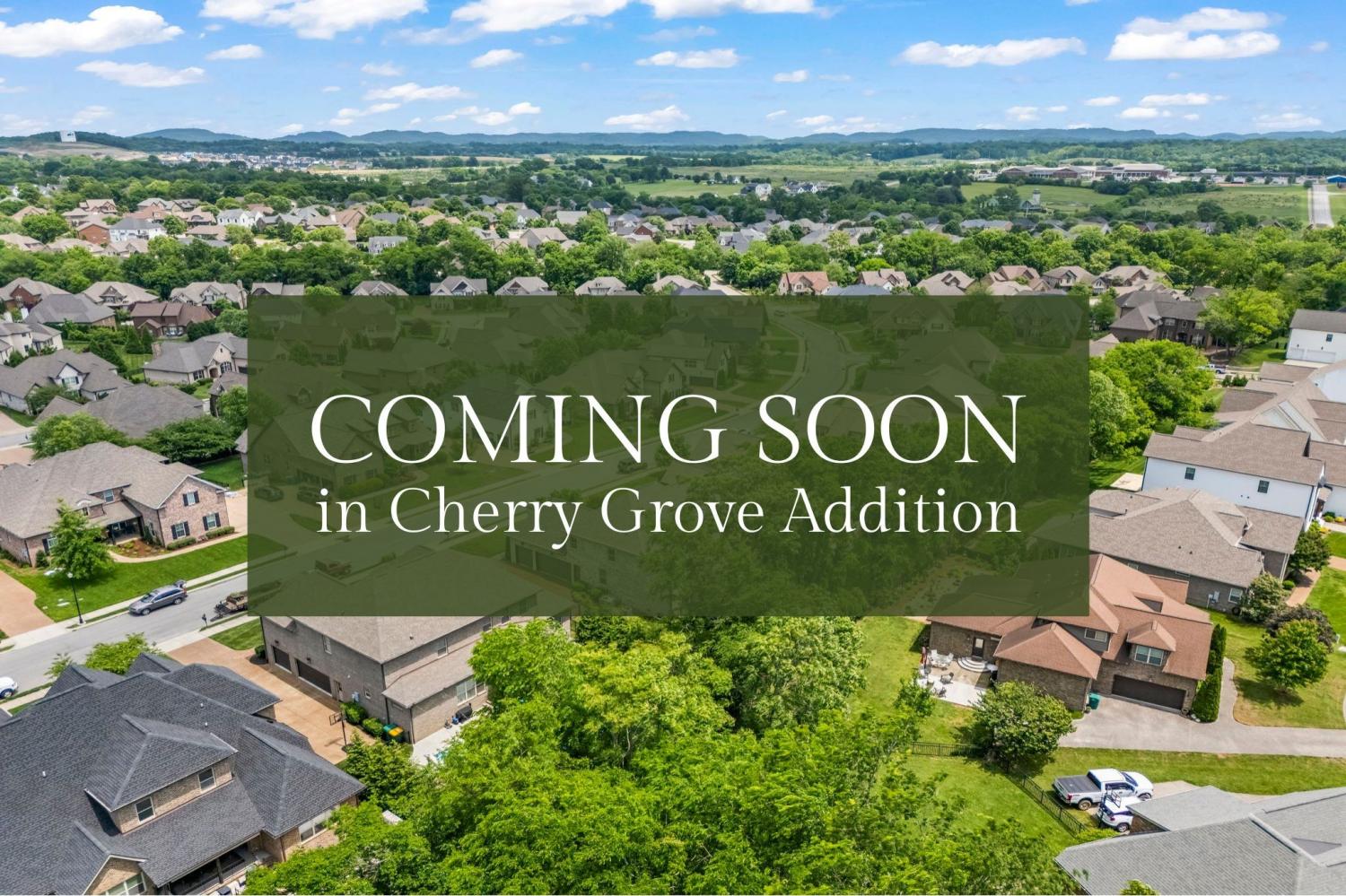 1039 Alice Springs Cir TN 37174 For Sale - 