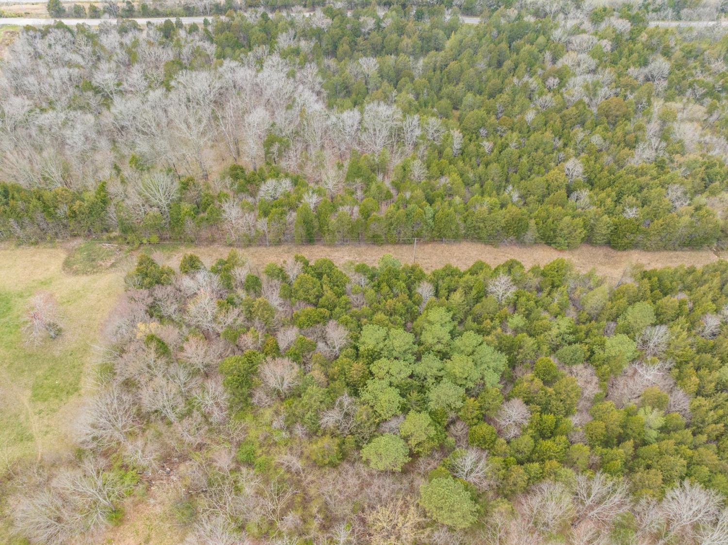0 Owl Hollow Rd TN 37174 For Sale - 19