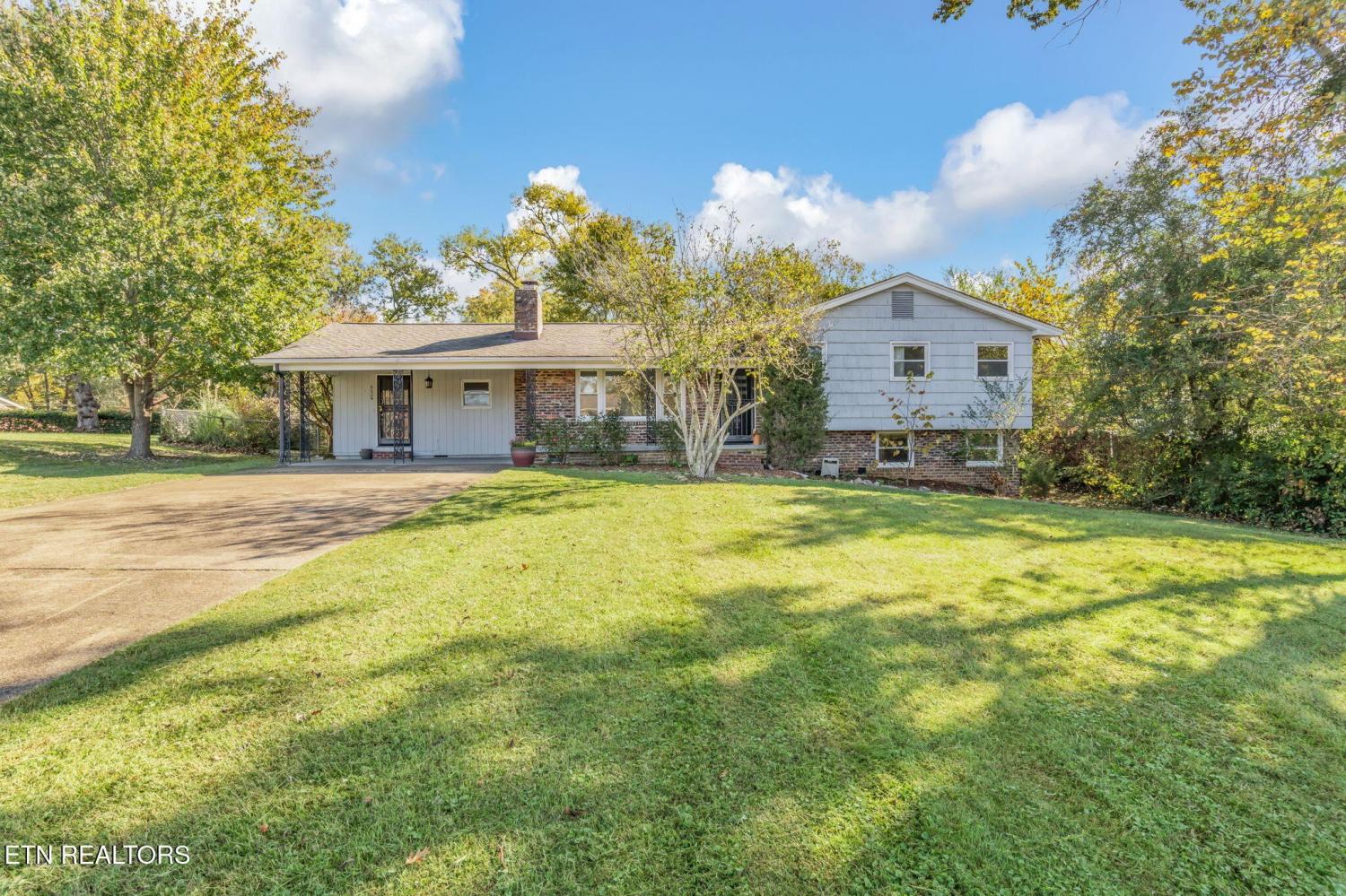 6624-Candy-Lane For Sale