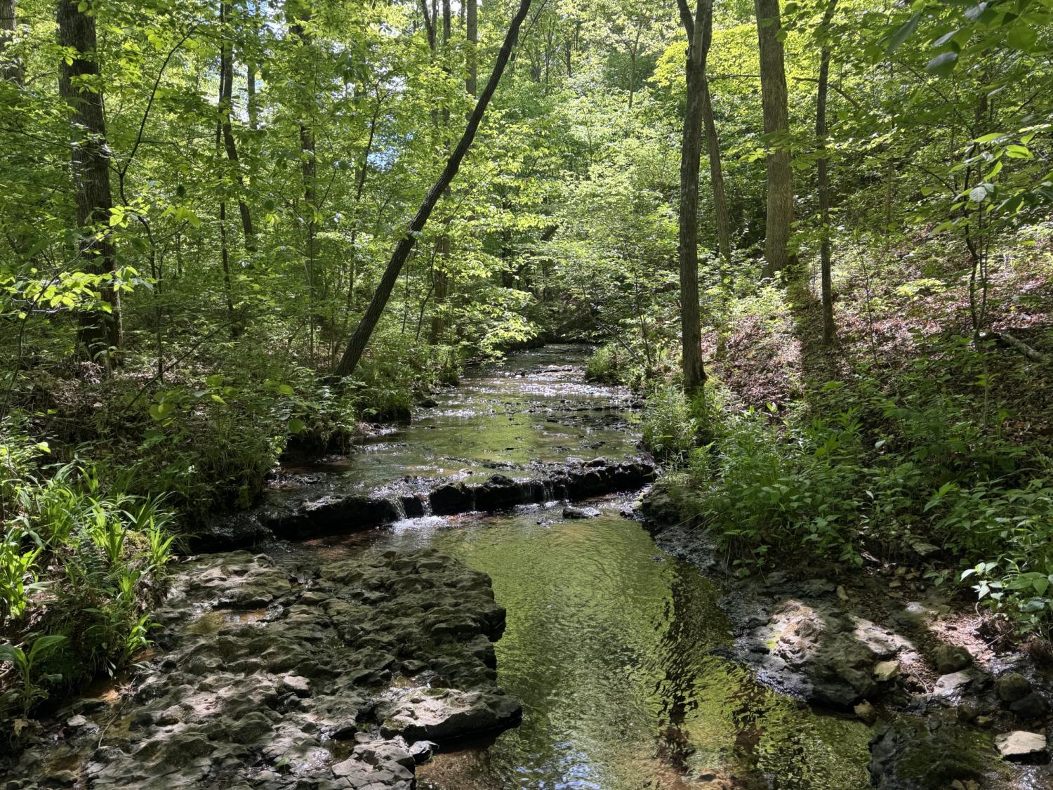 283-Dyestone-Springs-Road For Sale