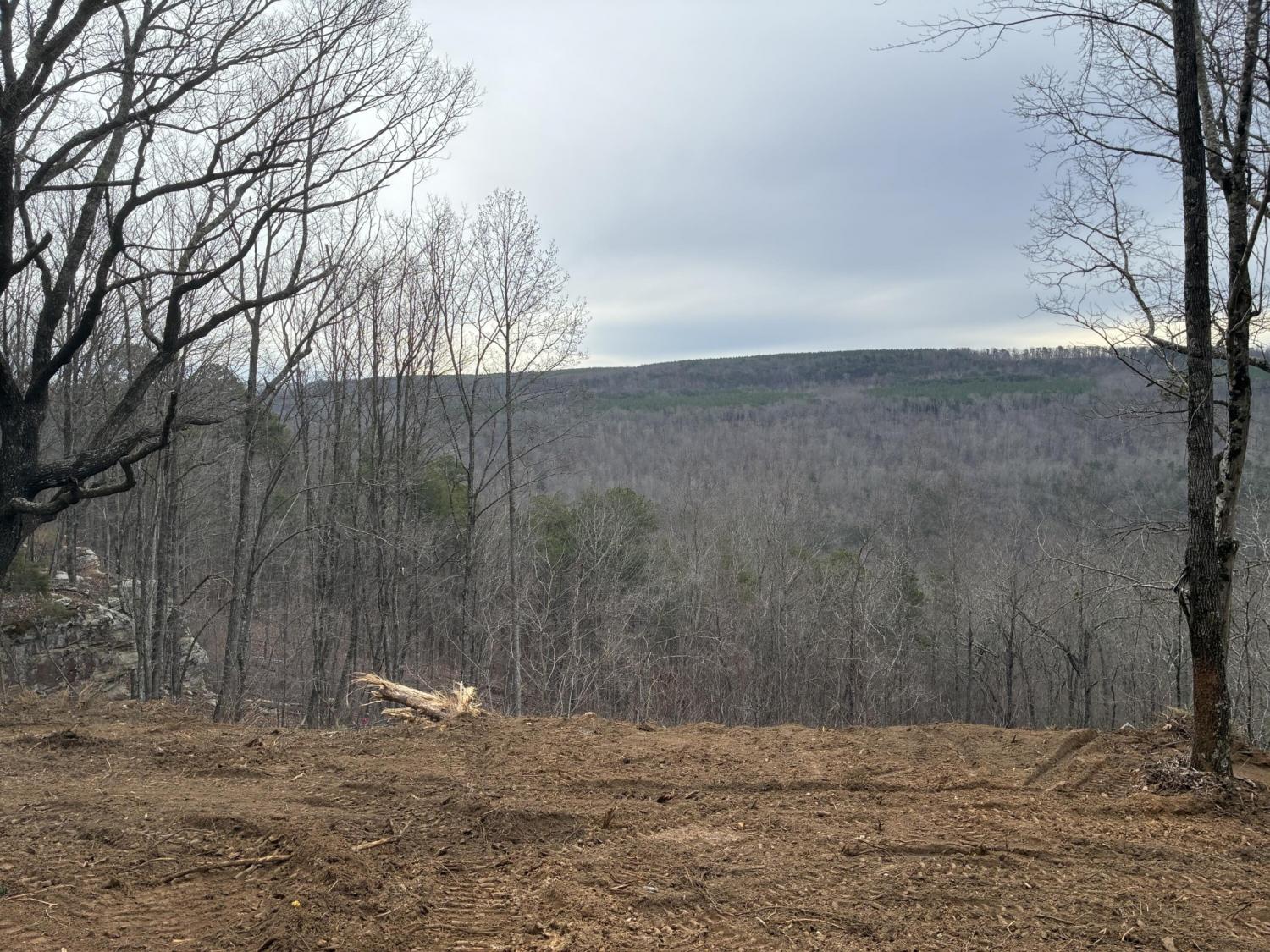 4690 Split Rail Way TN 37340 For Sale - 