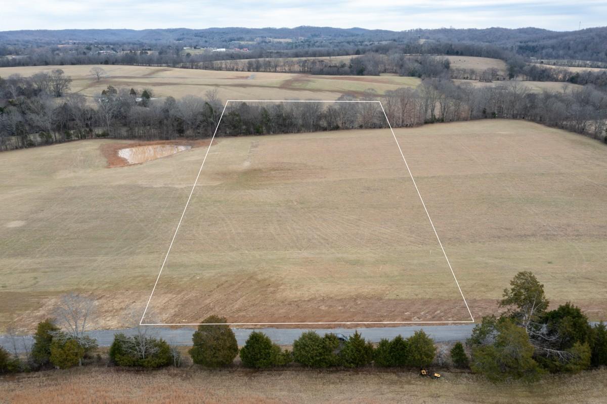 535-Turkey-Trot-PVT-Ln For Sale
