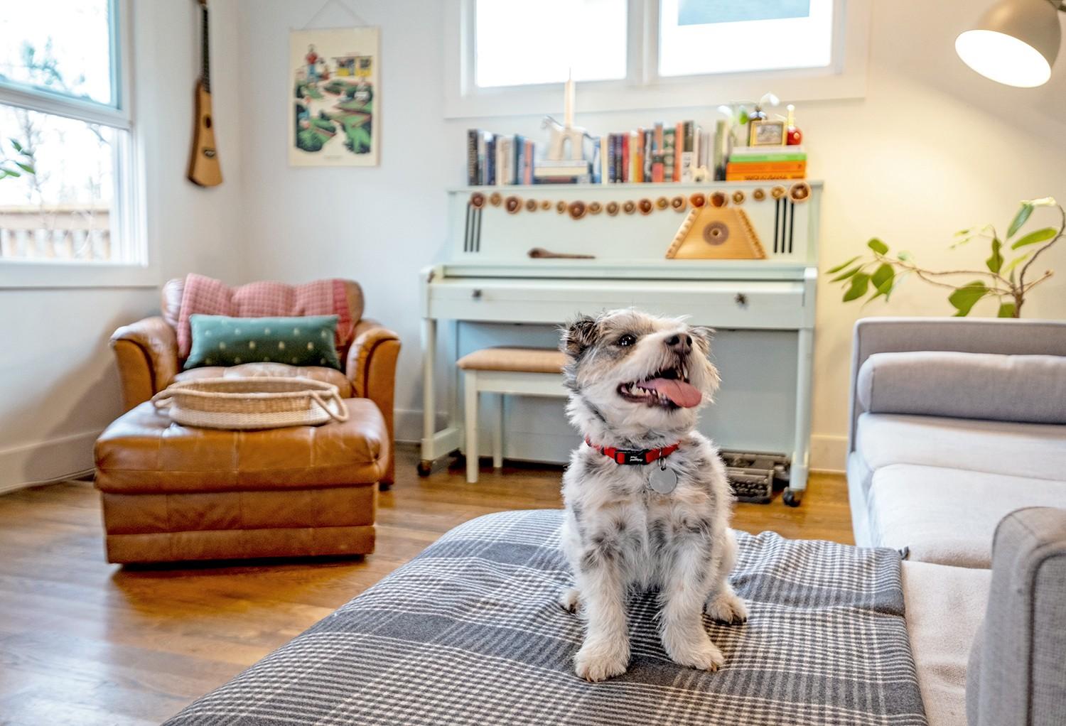 1515B-Jewell-St For Sale