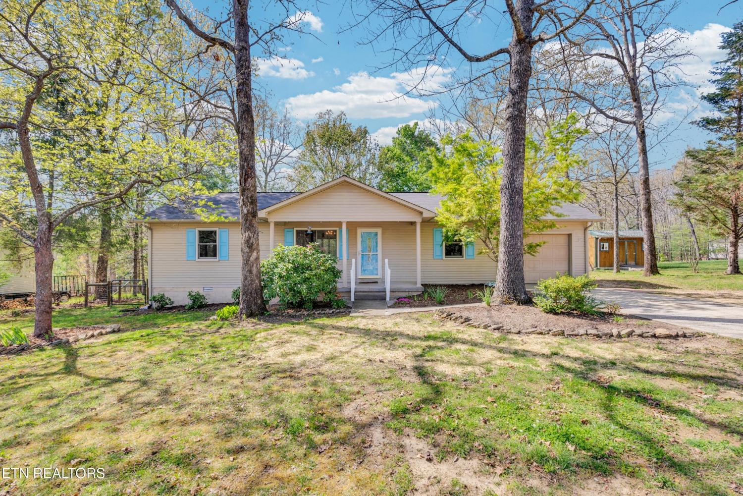 1954-Spruce-Loop For Sale