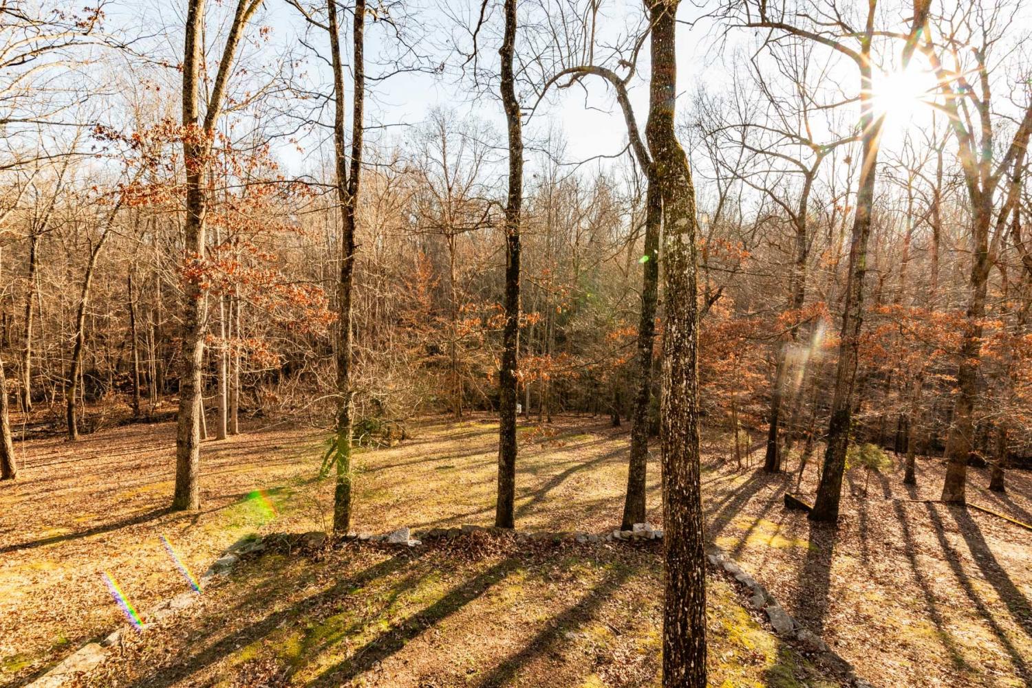 115-Lake-Crest-Ln For Sale