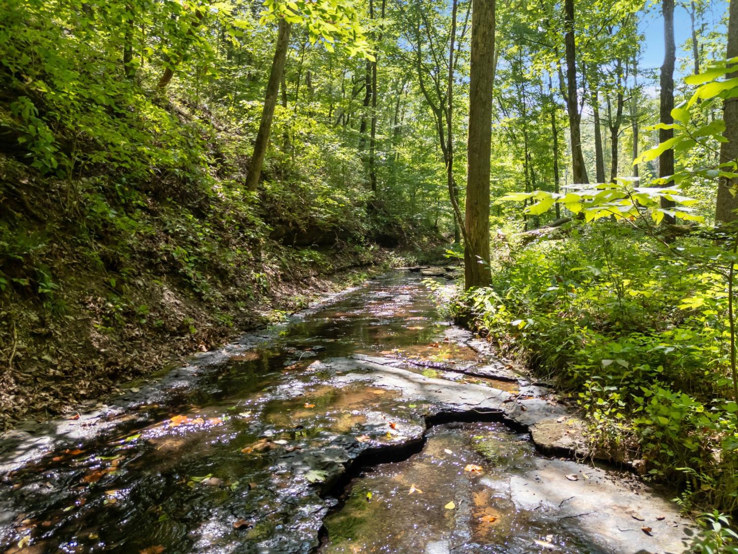 5755-N-Lick-Creek-Rd For Sale
