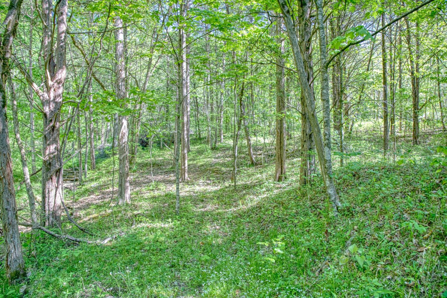 299 Poor House Hollow Ln TN 38562 For Sale - 