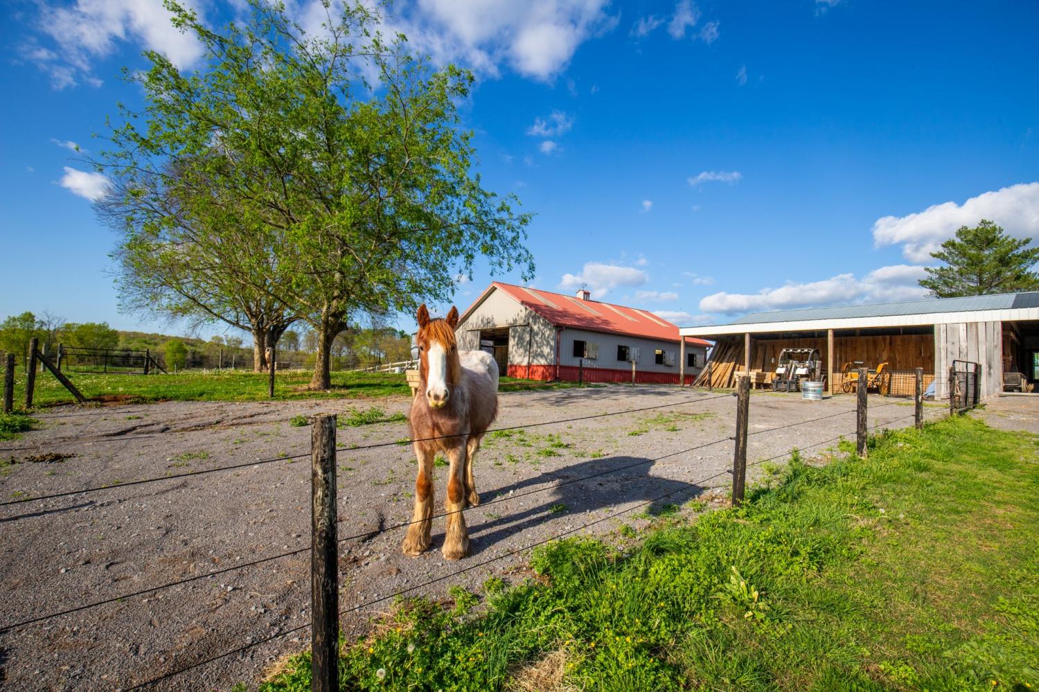 501-Burnt-Hill-Rd For Sale