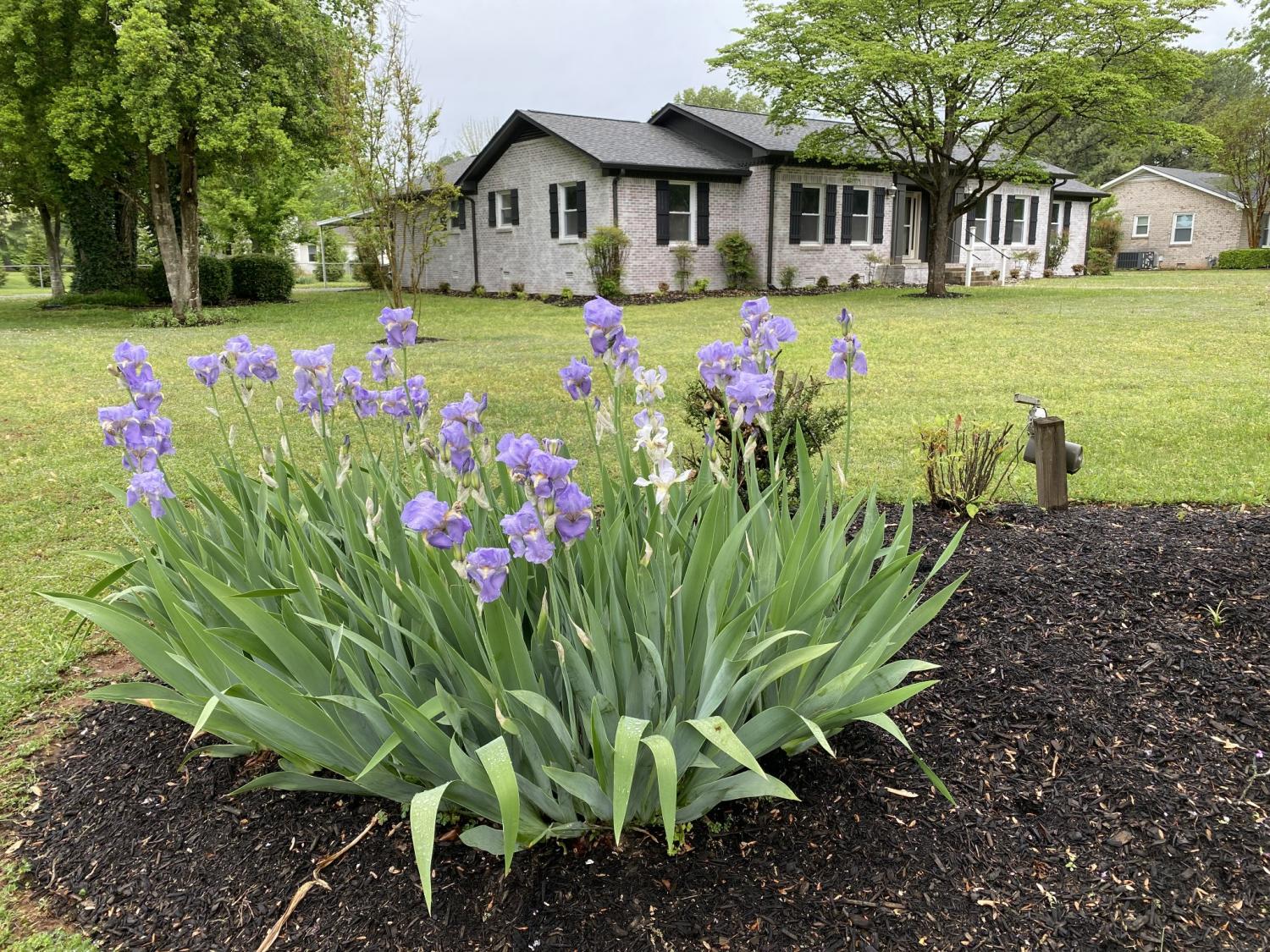 3703-Lexington-Ct For Sale