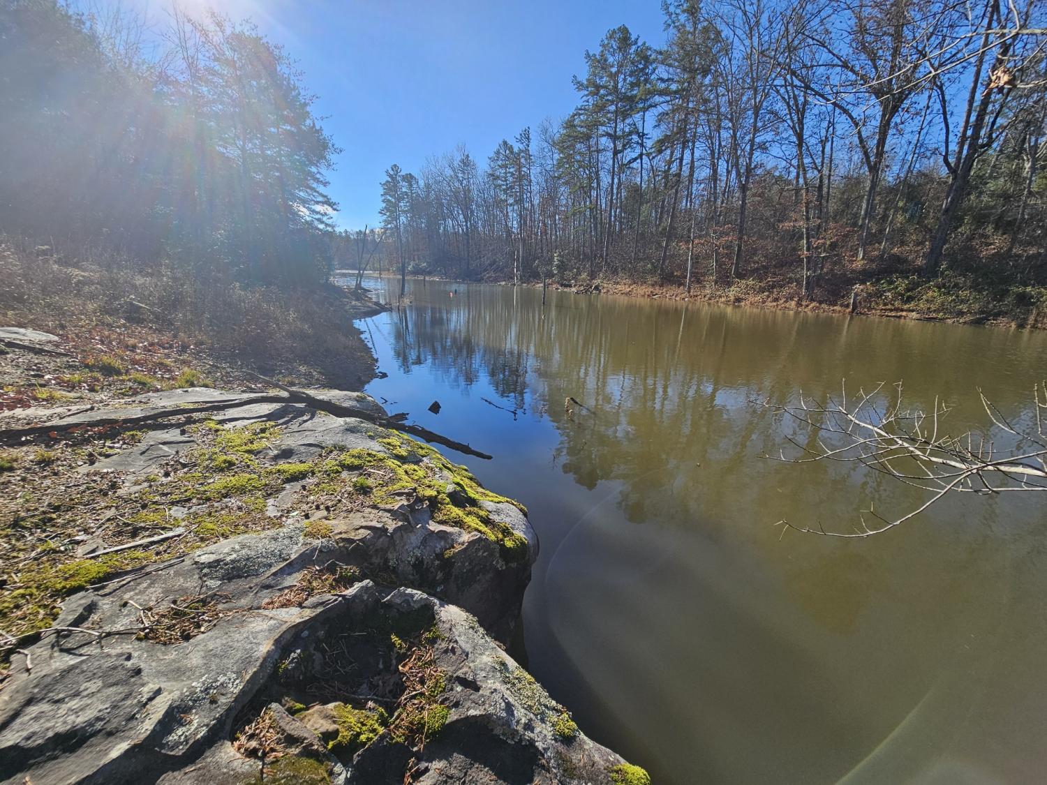 242-Ranger-Creek-Rd For Sale