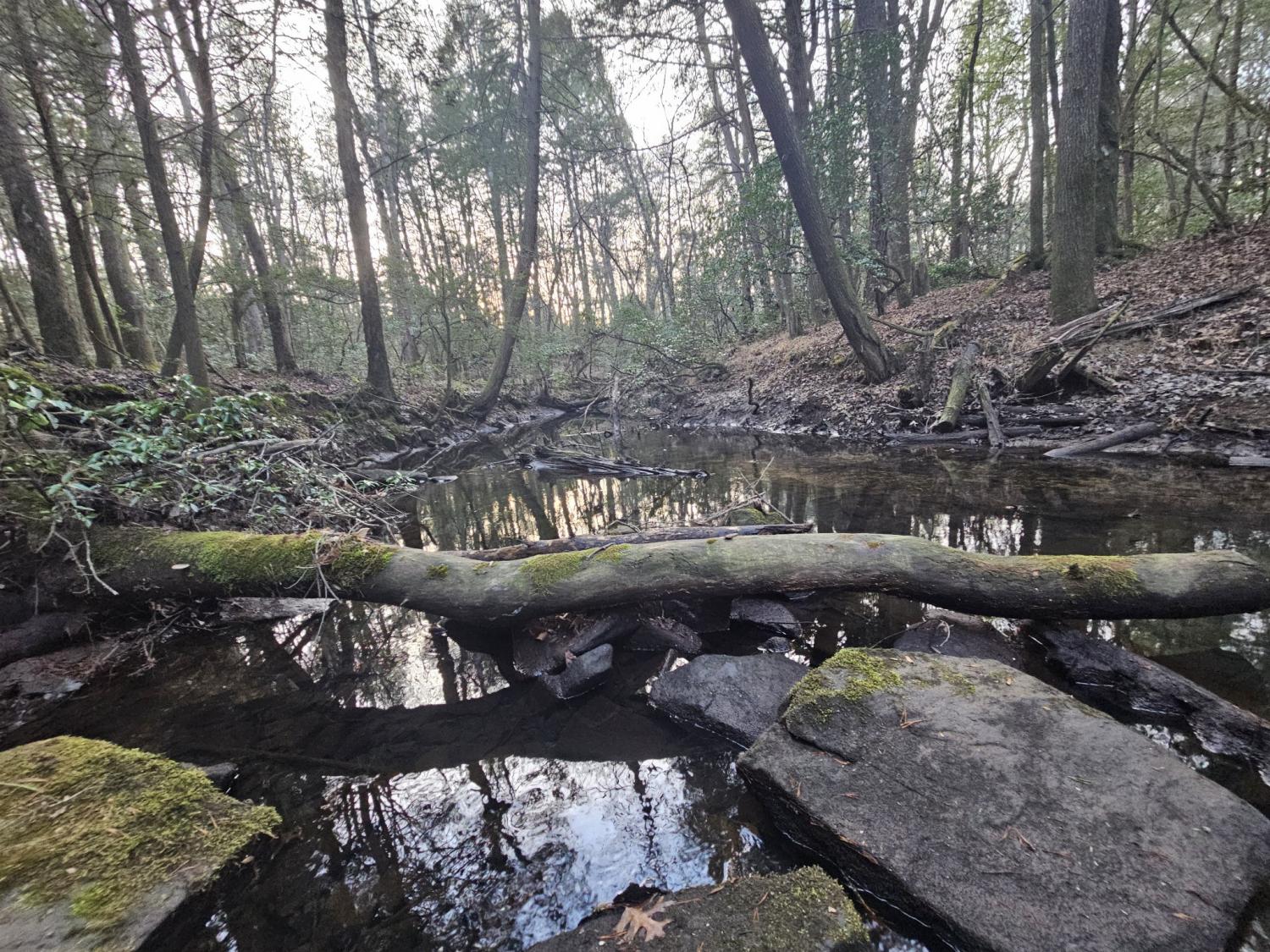 100-Clendenon-Rd For Sale