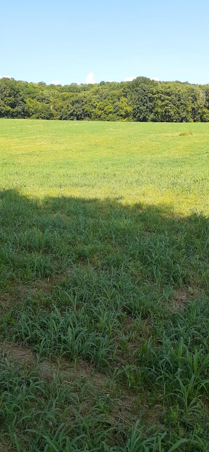 0-HWY-130-E For Sale