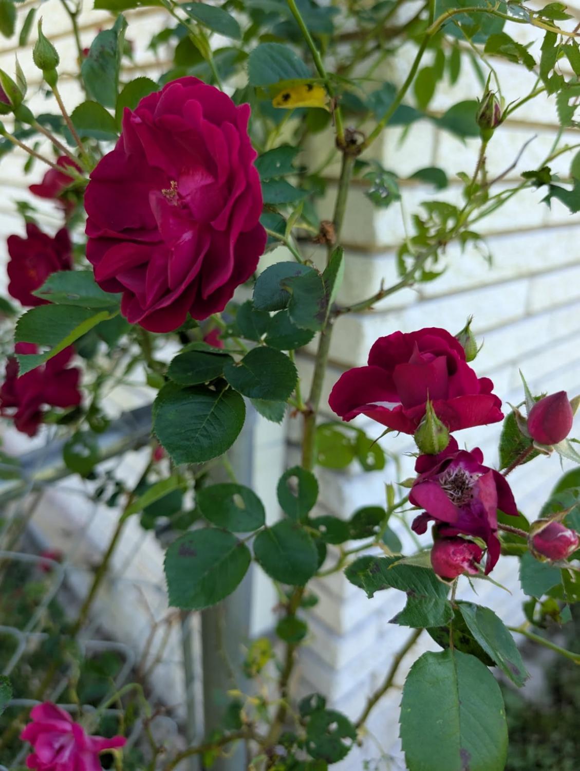 5000-Highway-100 For Sale